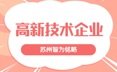蘇州企業服務公司申報高新技術企業的策略 985、211碩士團隊的專業賦能